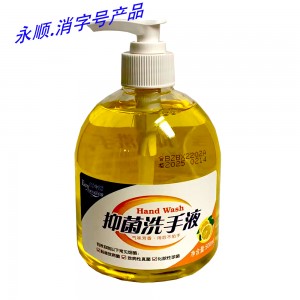 宝中宝抑菌洗手液（柠檬）500ml—三个一组