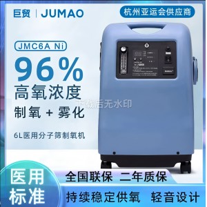 巨贸医用分子筛制氧机 6升
